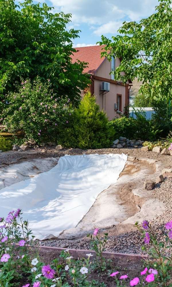 How to Get Started With the Basics of Pond Construction