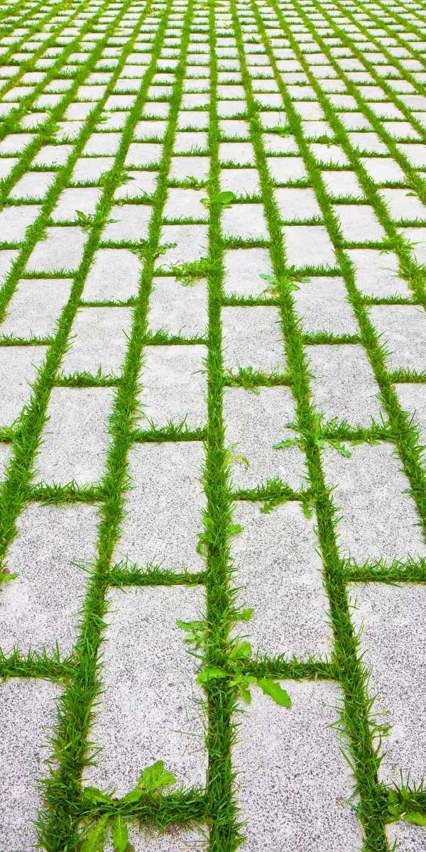What are the Best Permeable Driveway Options?